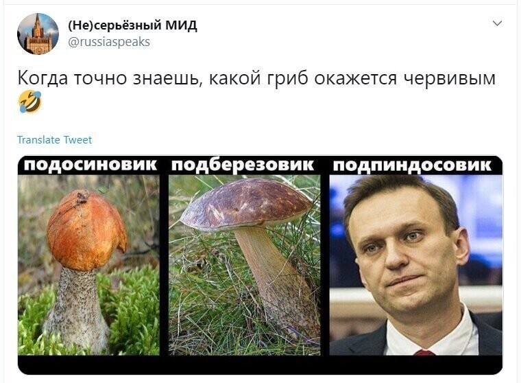 Политические скрины