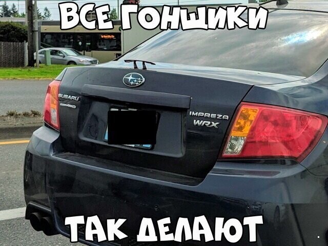 Автовсячина