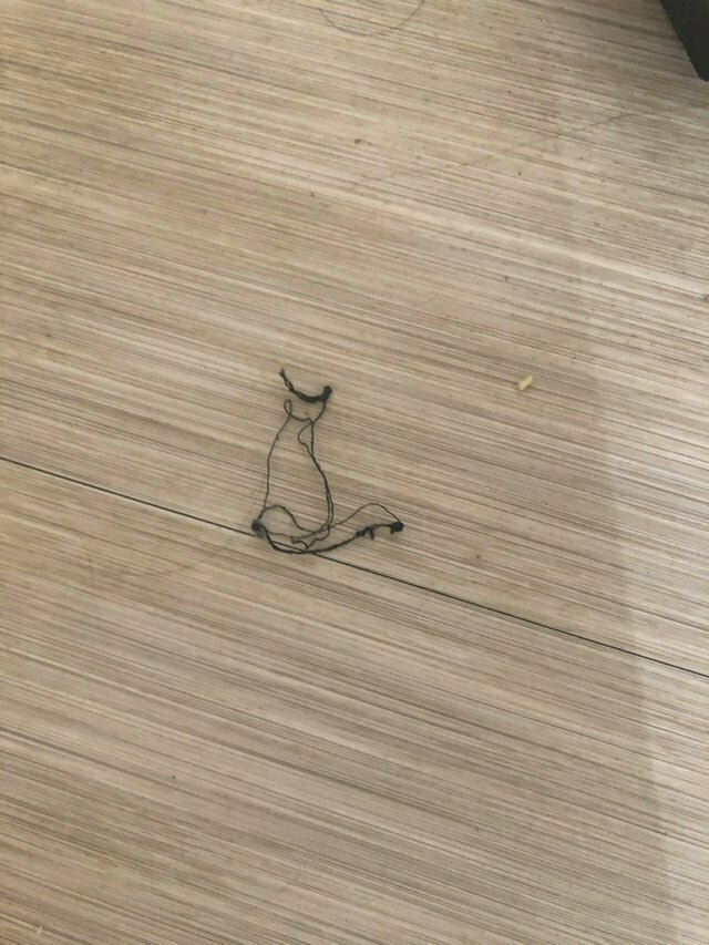 7. Нитка на полу напоминает кота