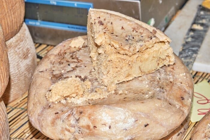 Сыр Casu Marzu, ферментированный личинками, не для слабонервных