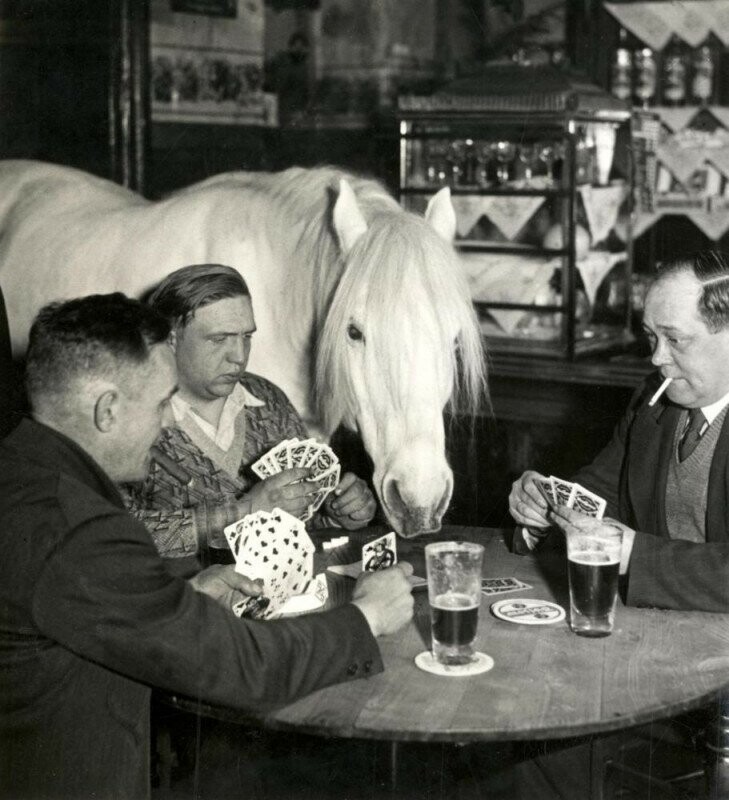 Мужчины в Берлине играют в карты ... с лошадью. 1932