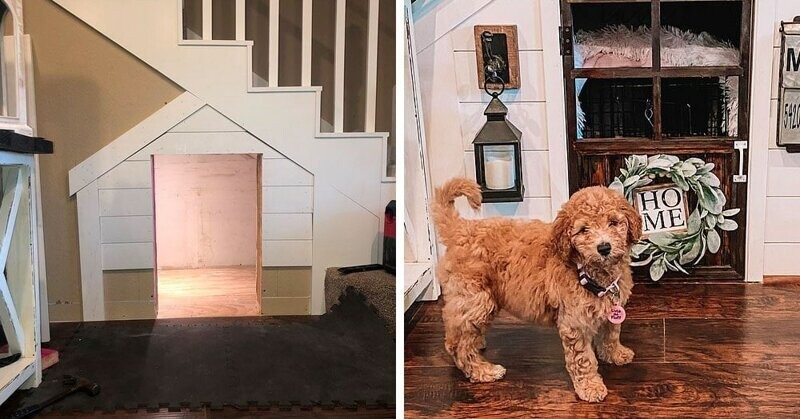 Девушка превратила пространство под лестницей в роскошный домик для собаки