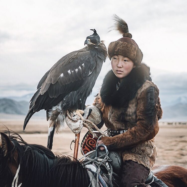 Удивительные фотографии соколиной охоты в Монголии