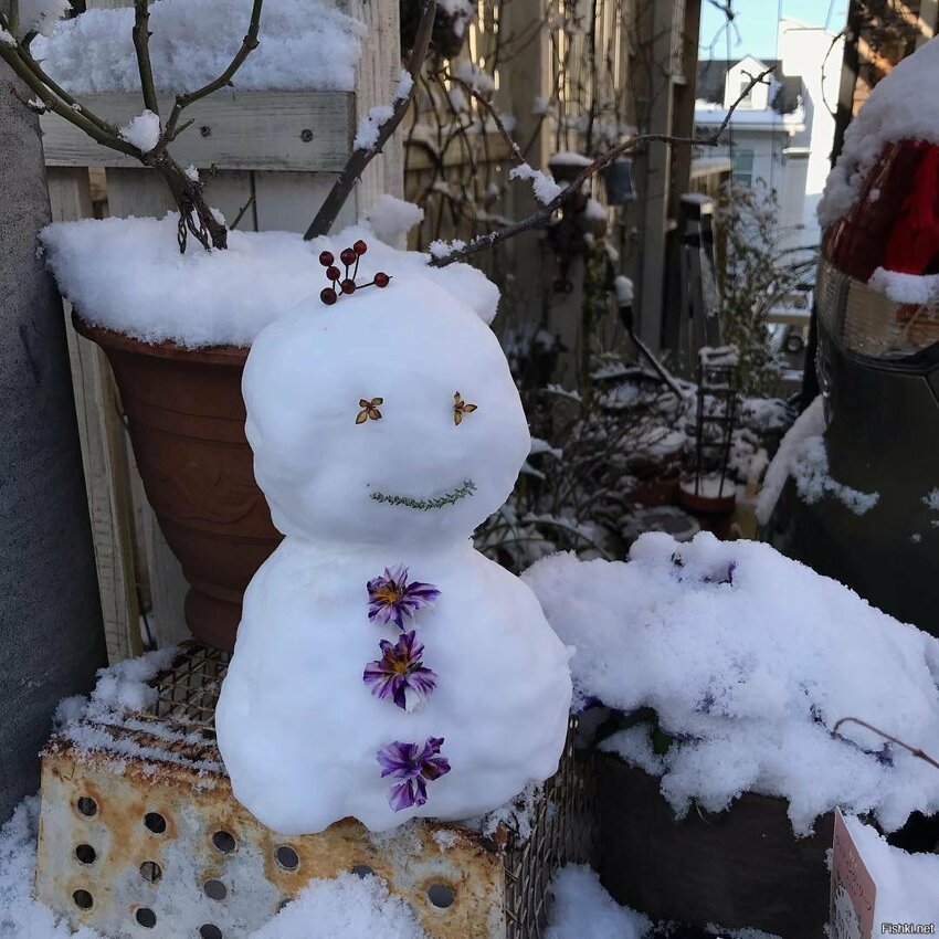 В Японии, как и во всех азиатских странах принято лепить снеговиков из двух ш...