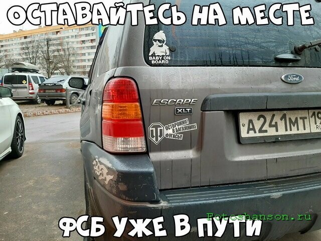 Автовсячина