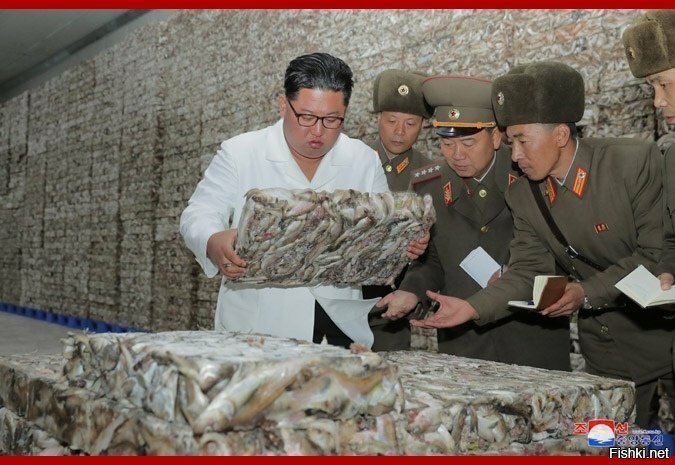 Невероятные приключения Спанч Боба в Северной Корее
