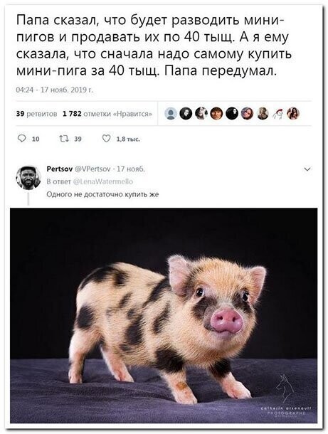 Прикольные комментарии