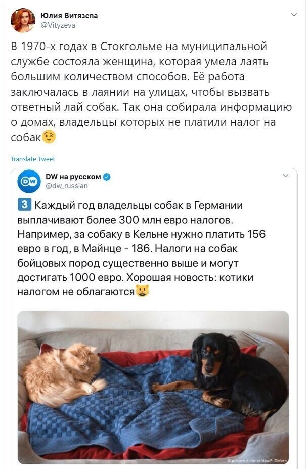 Политические скрины