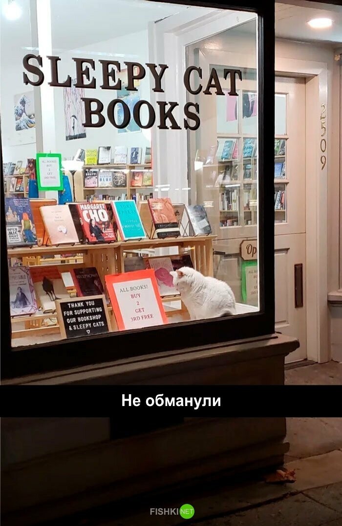 Книжный магазин "Сонная кошка"