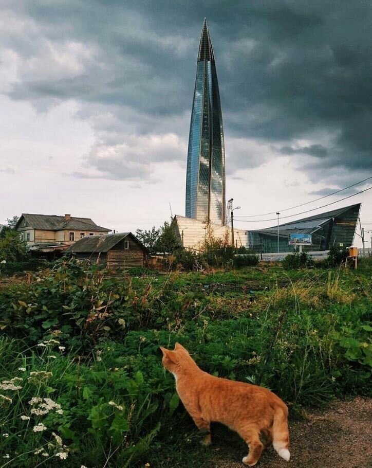 Санкт-Петербург