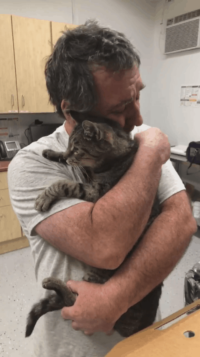 Кот положил лапки на плечи мужчины, и тут он уже не смог сдержаться