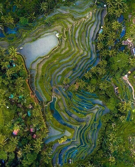 "Феноменальные цвета Бали". Бали, Индонезия