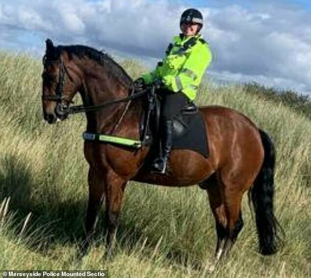 Полицейский конь не встает с места без забавного утреннего ритуала