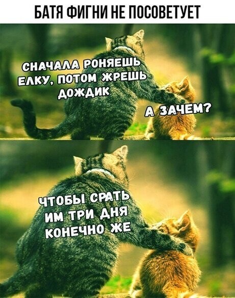 Прикольные и смешные картинки