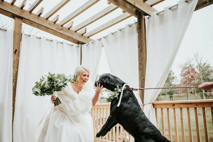 Свадебные фото с собакой произвели фурор в интернете!