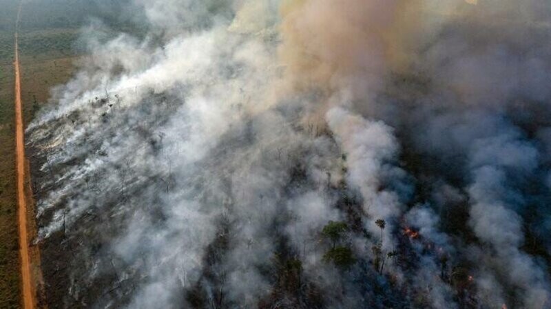 Экологов поймали на поджоге лесов Амазонии ради пожертвований