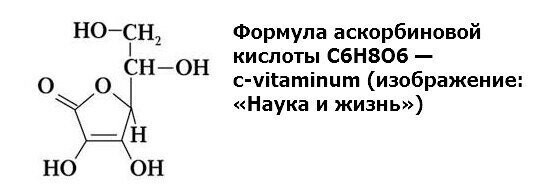 Витамин C. Как его понимать?