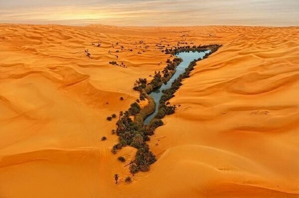 Оазис Аубари в пустыне Сахара