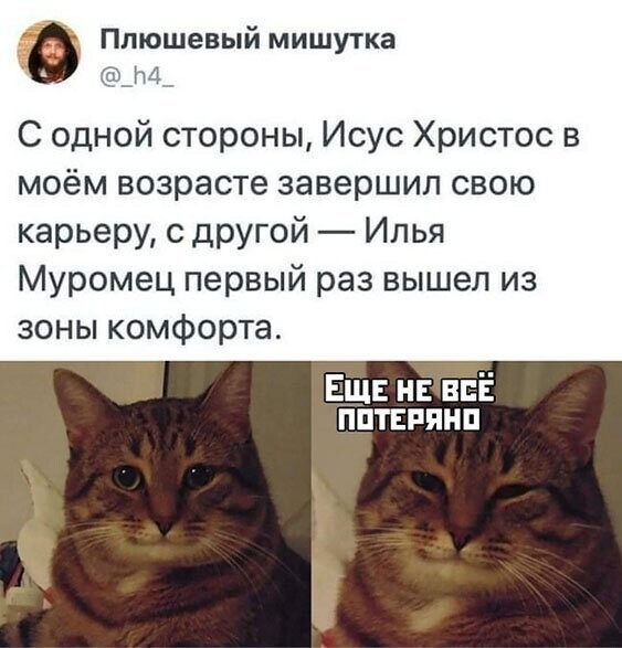 Прикольные и смешные картинки