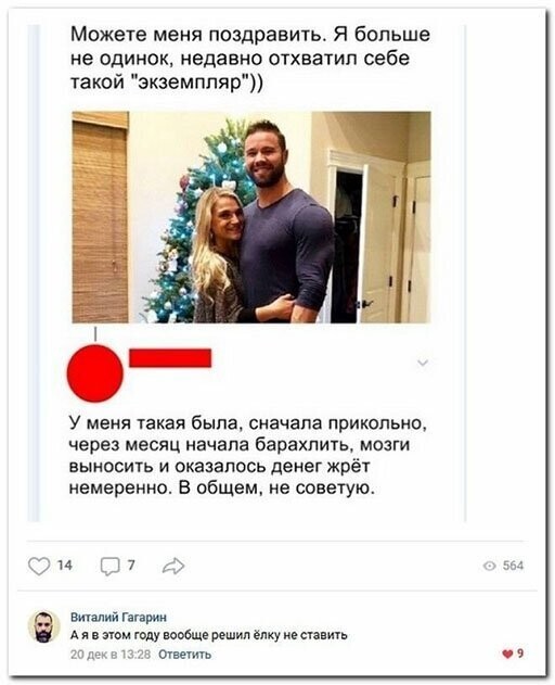 Прикольные и смешные картинки