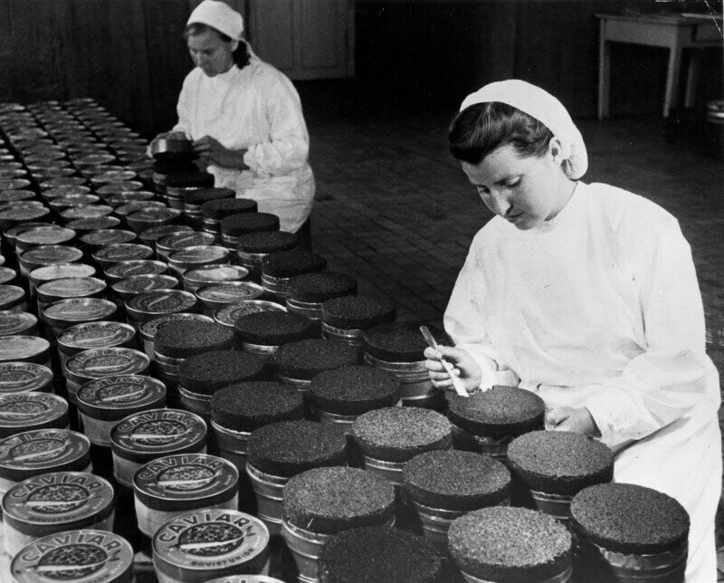 Контролеры А. Андреева и М. Мысова проверяют качество икры перед упаковкой на экспорт. Отделение Кировского рыбного хозяйства в Азербайджане, 1947 год