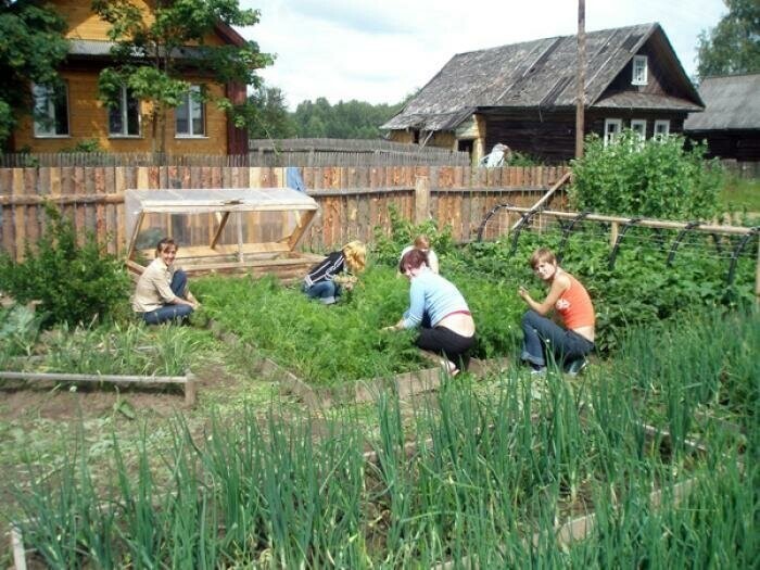 Огороды в деревне у жителей фото