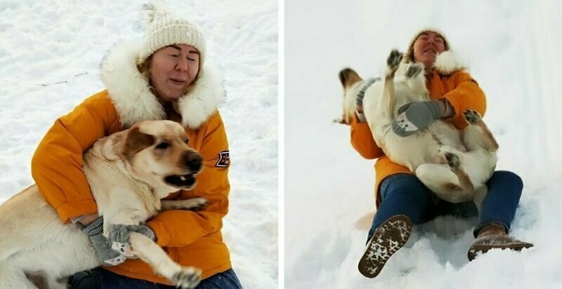 История о том, как девушка устроила фотосессию со своей собакой