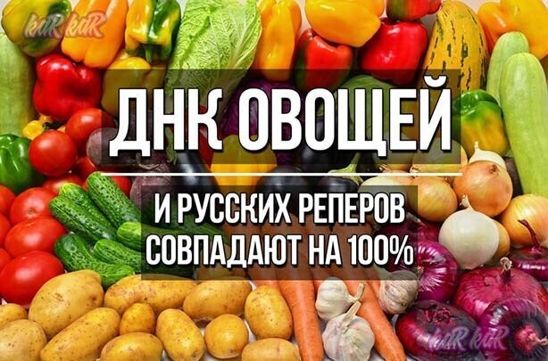 Прикольные и смешные картинки