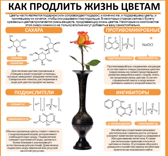 20 химических инфографик-советов, которые добавят вам  удивительных знаний