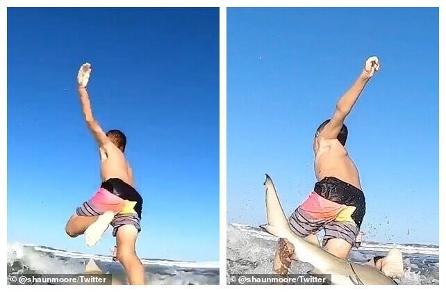 9-летний серфер снял нападение акулы на камеру GoPro