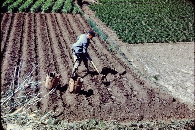 Удобрение, 1948