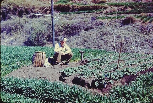 Фермер, 1948