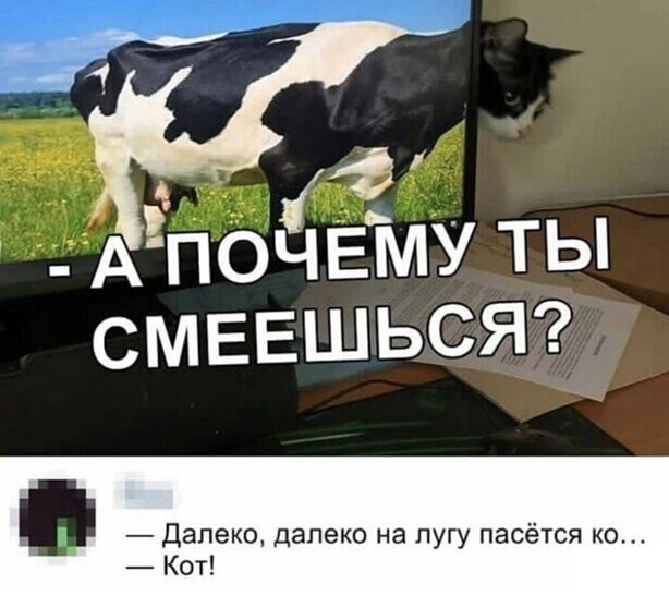 Прикольные и смешные картинки