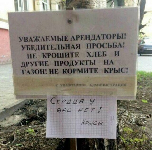 Намешалось