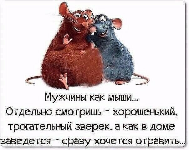 Улибнись