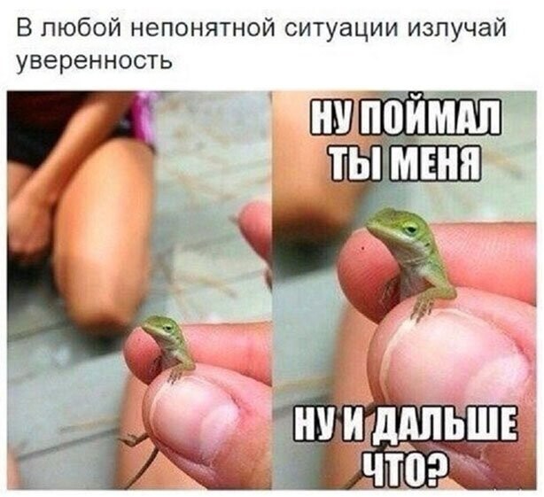 Прикольные и смешные картинки