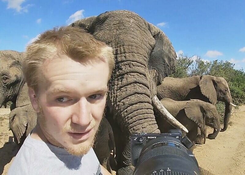 Слоны обнаружили наблюдавшего за ними фотографа и решили познакомиться поближе