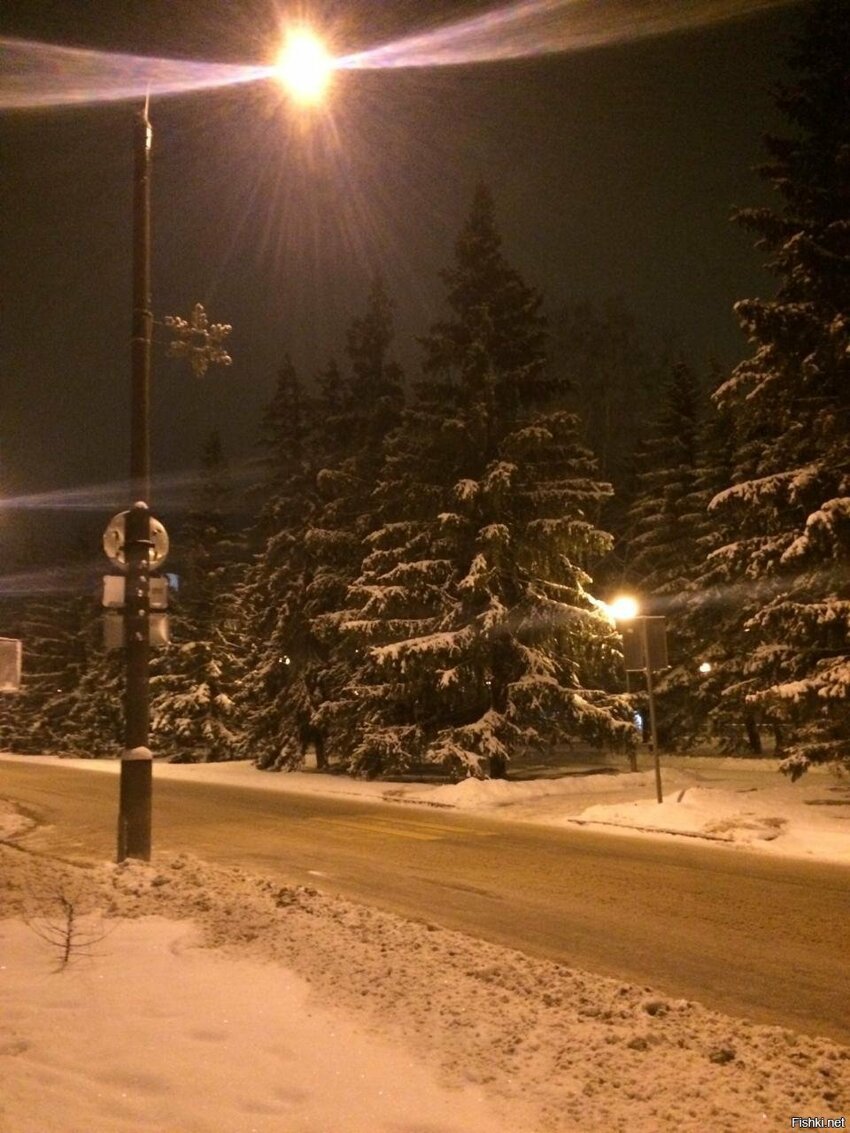 Ночная зима в моём городе