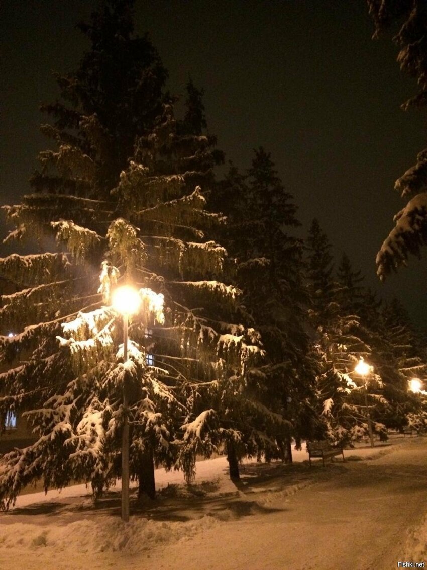 Ночная зима в моём городе