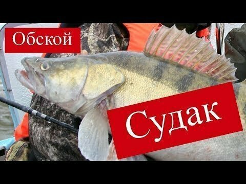 Рыбачим на Обском море. Спирино. Рыболовная База Усть Алеус 