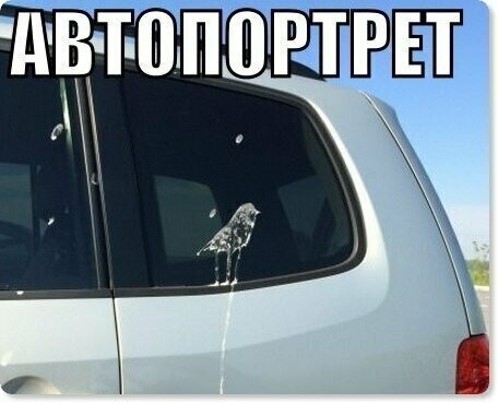 Подборка  автоприколов