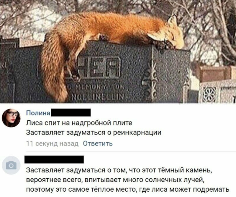 Сарказма, мудрости, маразма... Всего здесь хватает