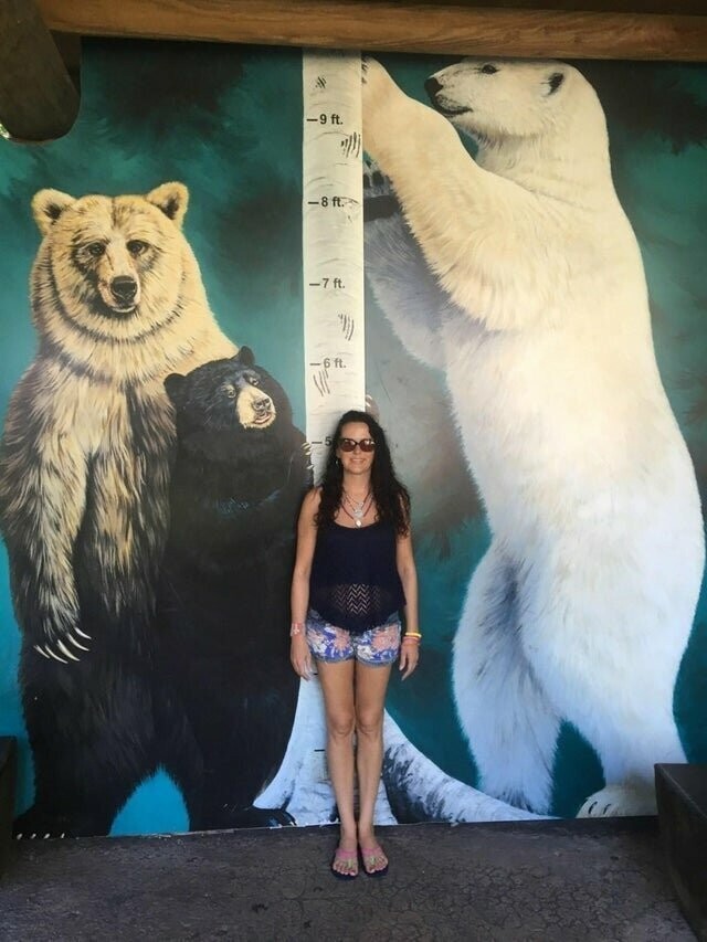 Можно сравнить себя с медведями
