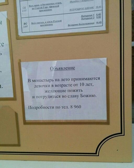 Прикольные и смешные картинки