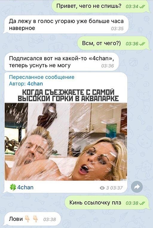 Прикольные и смешные картинки