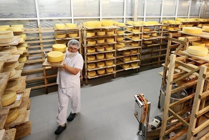 Россия вошла в тройку по производству сыра в мире