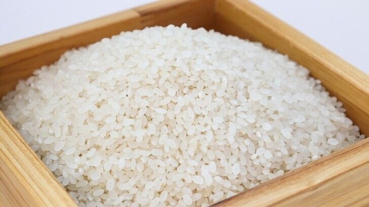 В Дагестане собрали рекордный за последние 32 года урожай риса