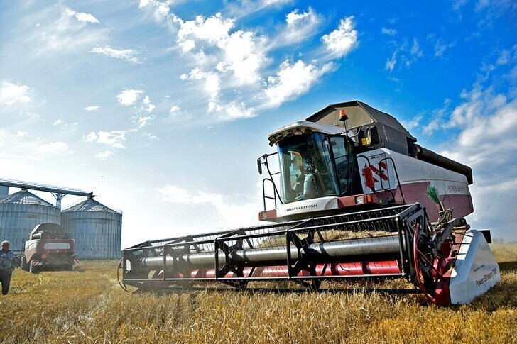 В Красноярском крае собрали рекордный за всю историю региона урожай зерна