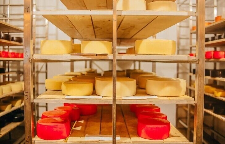 В Промышленновском районе Кемеровской области началось серийное производство сыра
