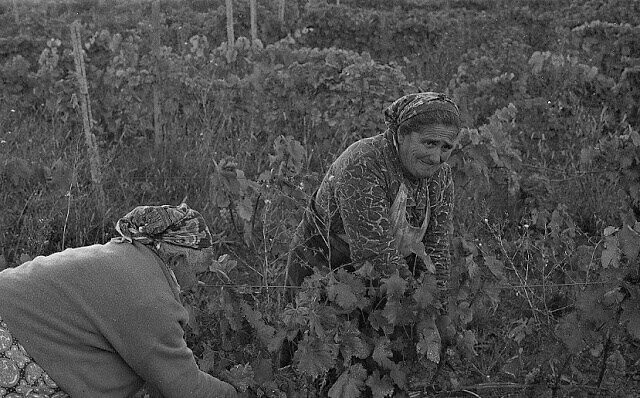 Повседневная жизнь в советской Грузии 1976 года в фотографиях шведского фотографа